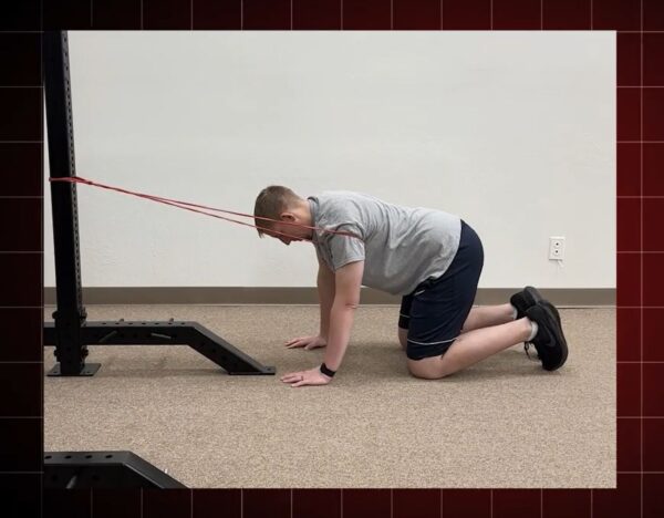 Quad Kneel Scap Depression