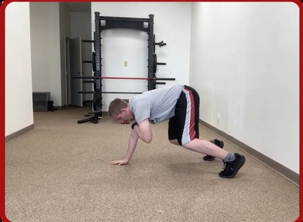 bear shoulder taps exercise